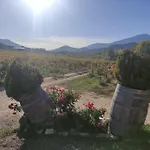 Disfrutando La Zona
