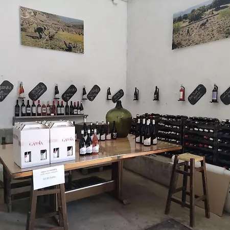 Disfrutando La Zona Appartement