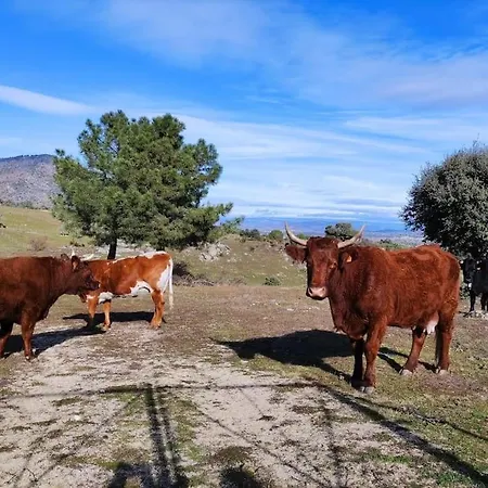 Disfrutando La Zona *