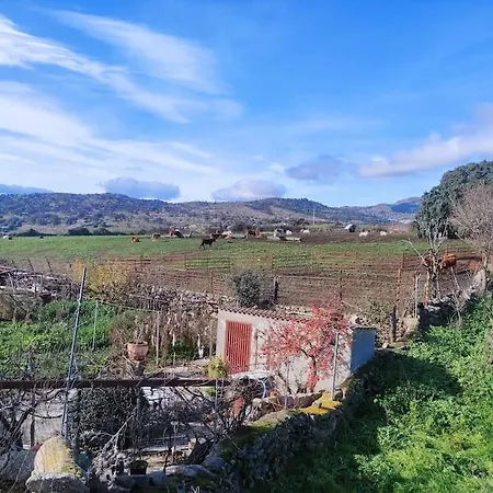 Disfrutando La Zona * El Barraco