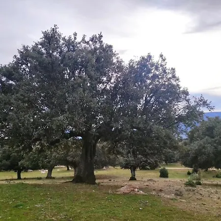 Disfrutando La Zona شقة *