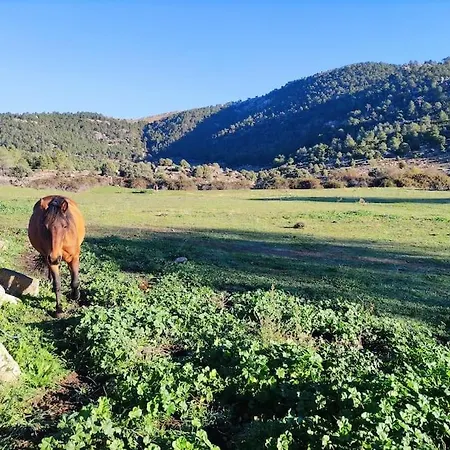 شقة Disfrutando La Zona El Barraco