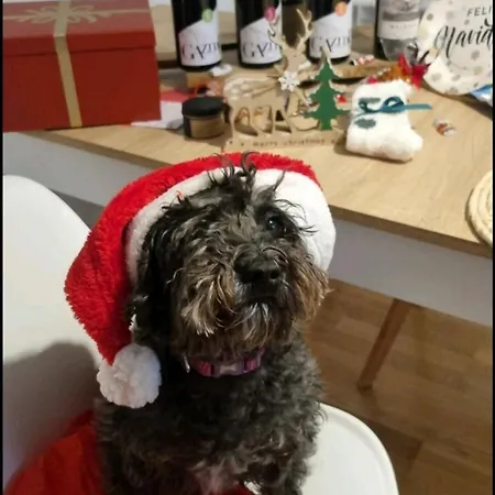 Disfrutando La Zona *