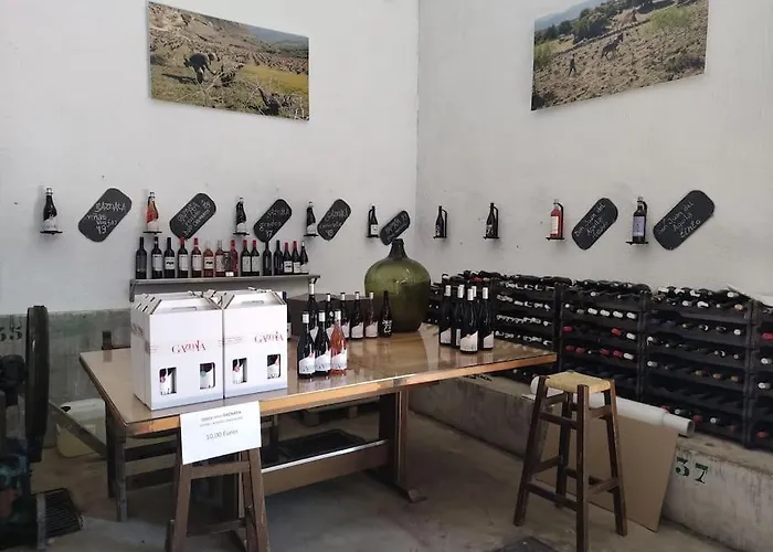 Disfrutando La Zona 아파트