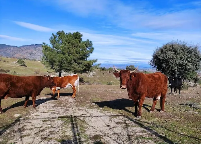 Disfrutando La Zona *