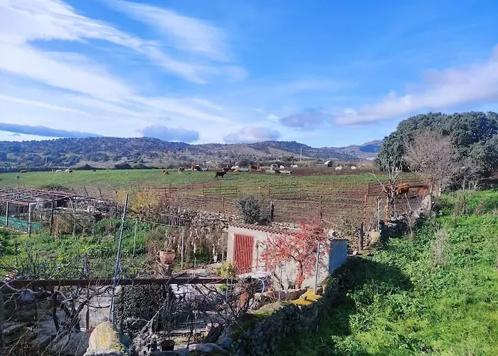 Disfrutando La Zona * El Barraco