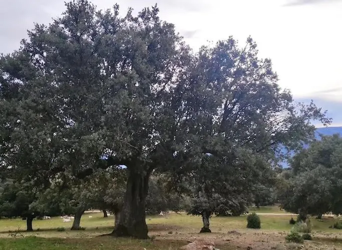 Disfrutando La Zona 아파트 *