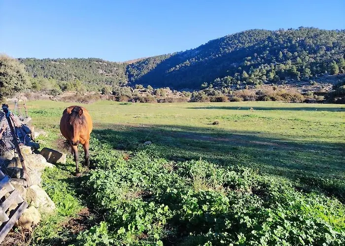 아파트 Disfrutando La Zona El Barraco