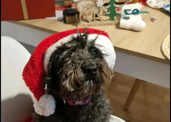 Disfrutando La Zona *